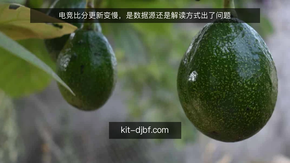 电竞比分更新变慢,是数据源还是解读方式出了问题